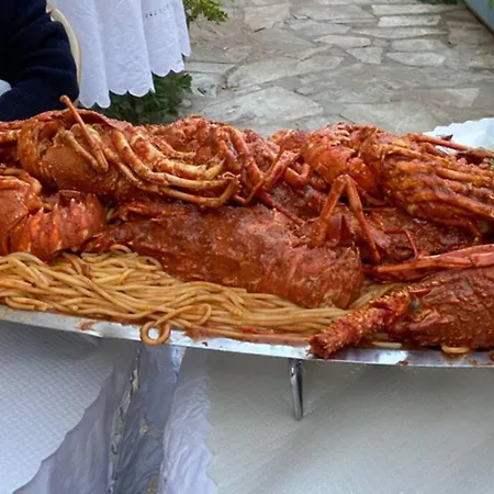 Magnifique T2 Neuf 40m2 Avec Balcon Au Trottel 4 Couchages Wifi Clim Parking A Pieds 100m * 아작시오