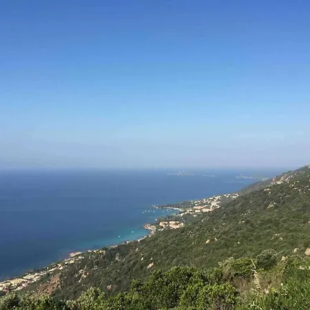 Magnifique T2 Neuf 40m2 Avec Balcon Au Trottel 4 Couchages Wifi Clim Parking A Pieds 100m * אז'אקסיו