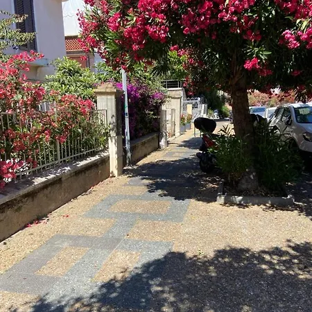 아파트 Magnifique T2 Neuf 40m2 Avec Balcon Au Trottel 4 Couchages Wifi Clim Parking A Pieds 100m 아작시오