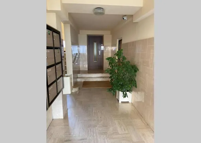 Magnifique T2 Neuf 40m2 Avec Balcon Au Trottel 4 Couchages Wifi Clim Parking à Pieds 100m Appartamento Ajaccio (Corsica)