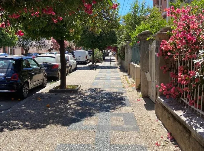 Magnifique T2 Neuf 40m2 Avec Balcon Au Trottel 4 Couchages Wifi Clim Parking à Pieds 100m Ajaccio (Corsica)
